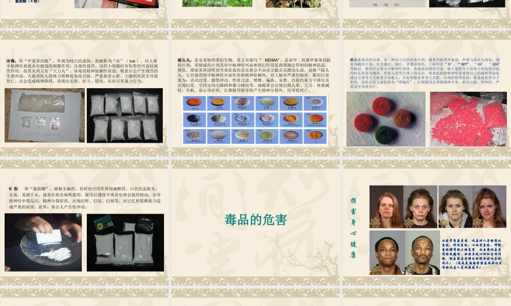 毒品常识.ppt