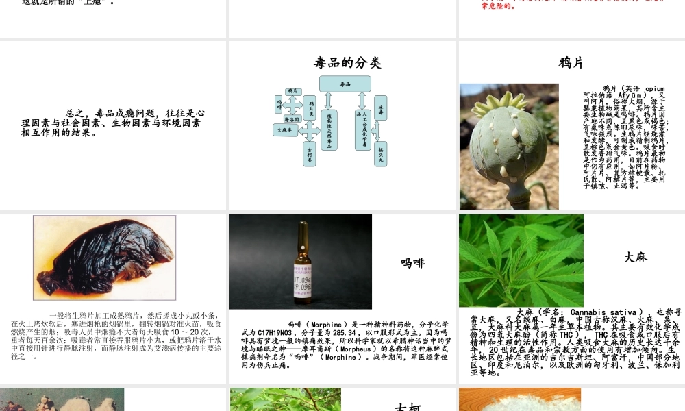 毒品犯罪概述..ppt