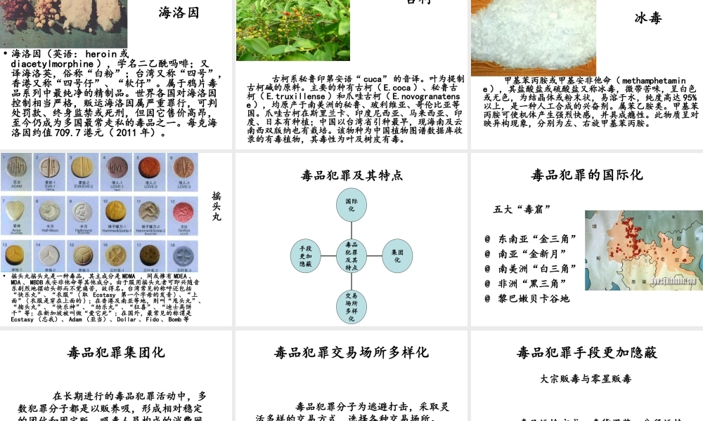 毒品犯罪概述..ppt