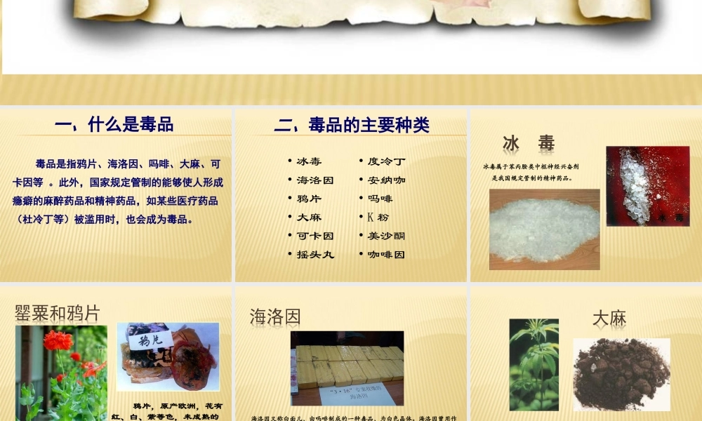 毒品的种类——陈璟.ppt