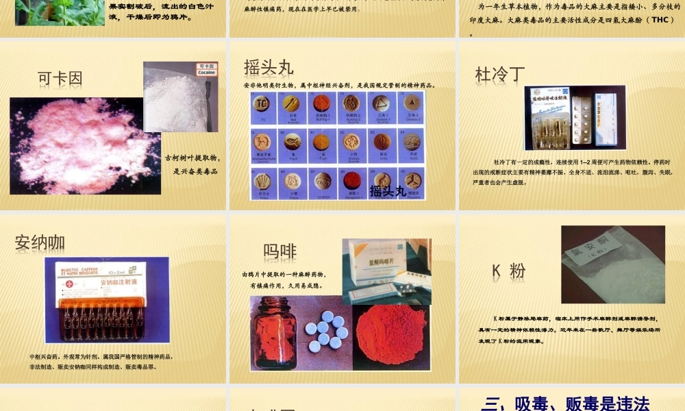 毒品的种类——陈璟.ppt