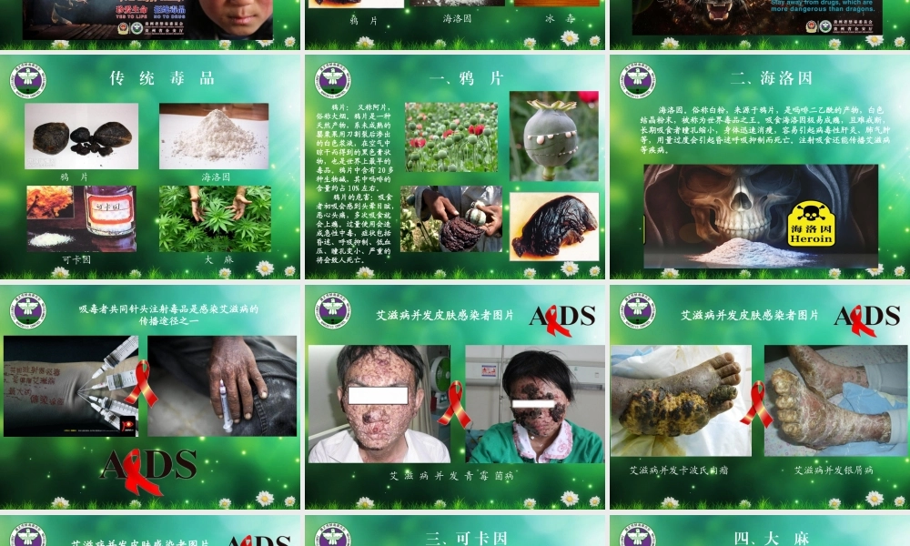 毒品的危害.ppt