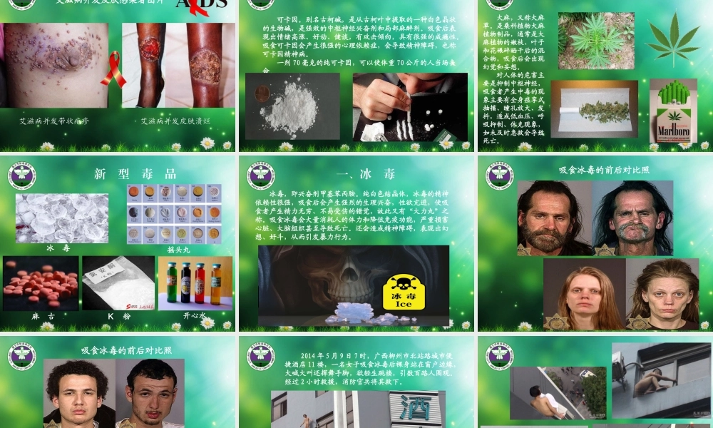 毒品的危害.ppt