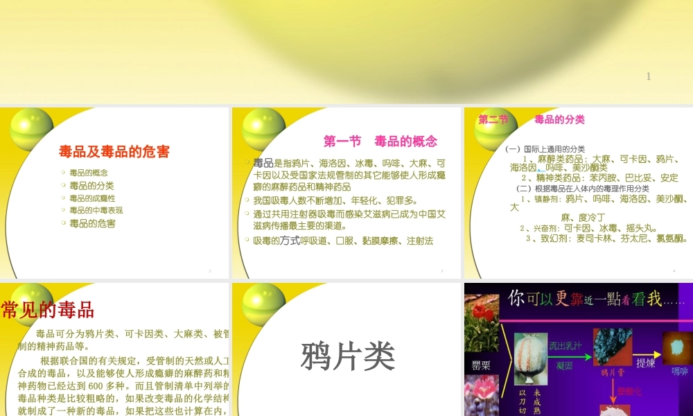 毒品的种类和危害.ppt