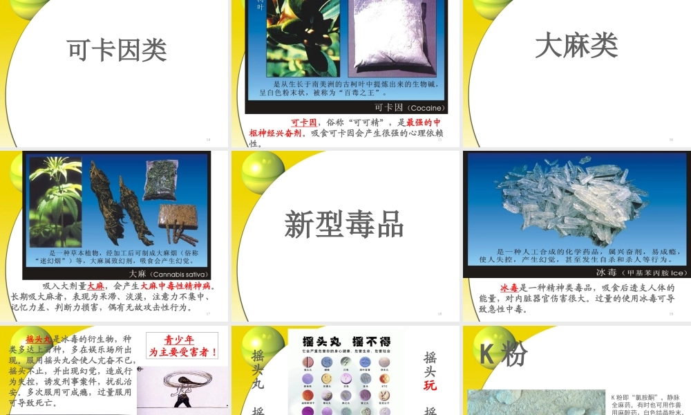 毒品的种类和危害.ppt