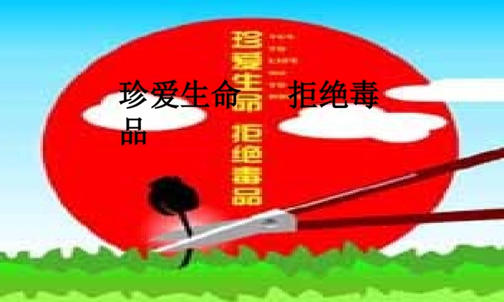 毒品种类、危害.ppt