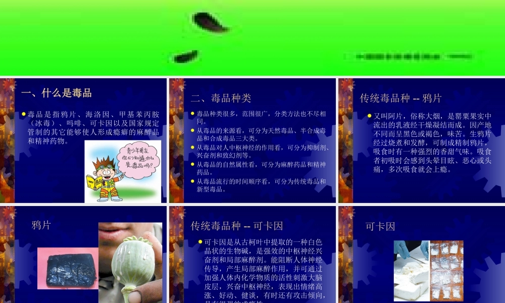 毒品种类、危害.ppt