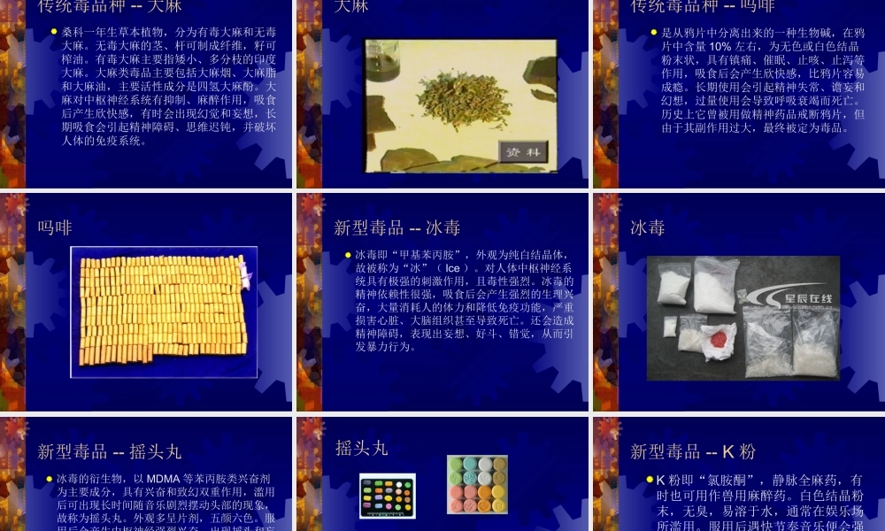 毒品种类、危害.ppt