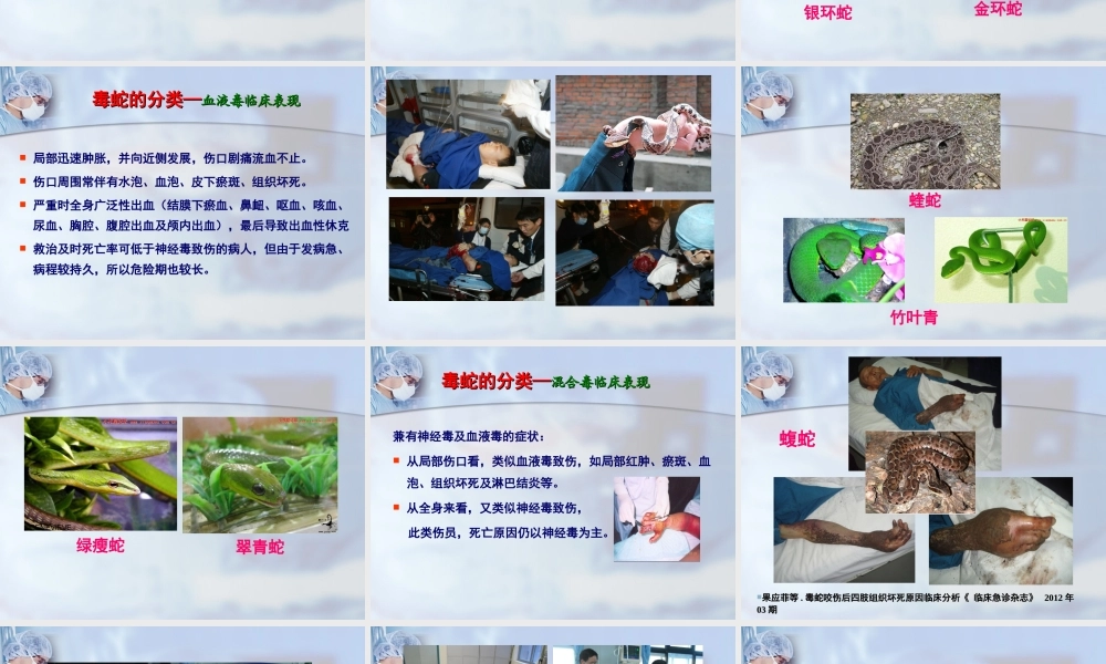 毒蛇、毒虫咬伤的急诊救治(1).ppt