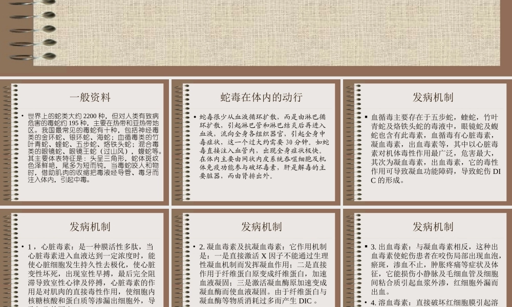 毒蛇咬伤的救治.ppt