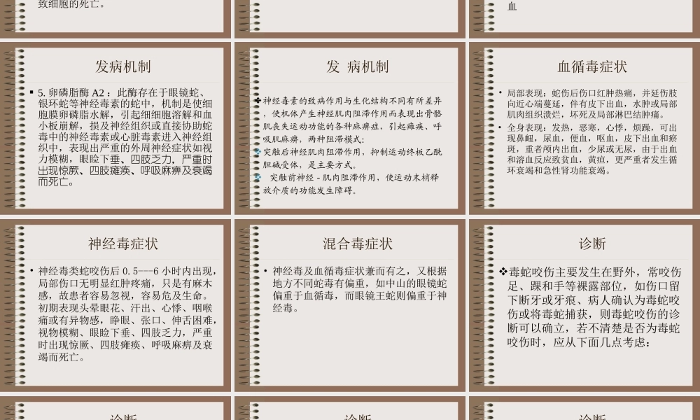 毒蛇咬伤的救治.ppt