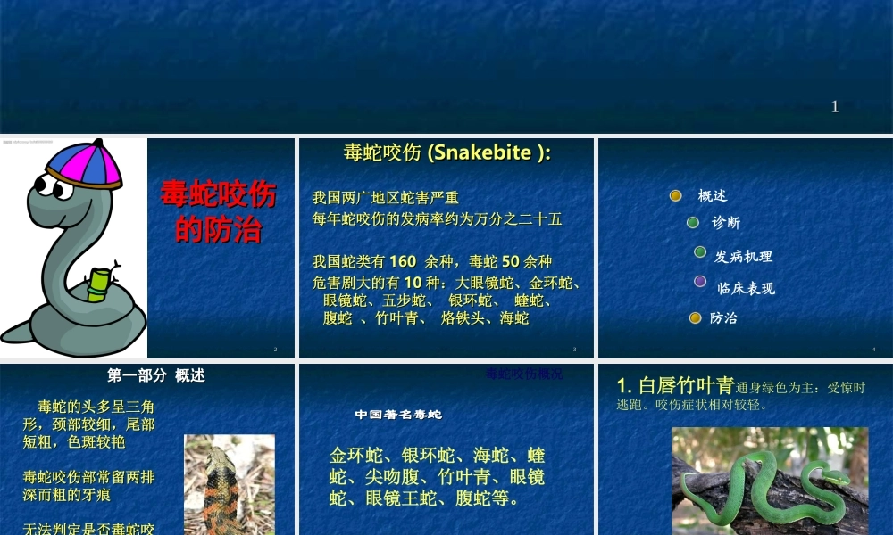 毒蛇咬伤防治知识.ppt