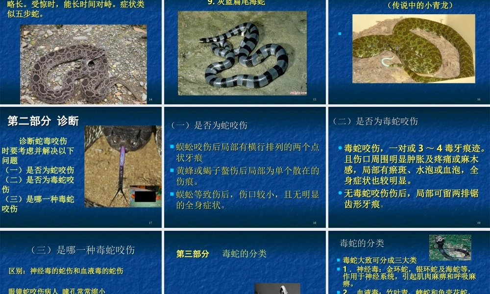 毒蛇咬伤防治知识.ppt