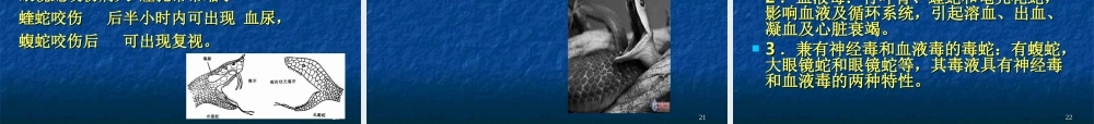 毒蛇咬伤防治知识.ppt