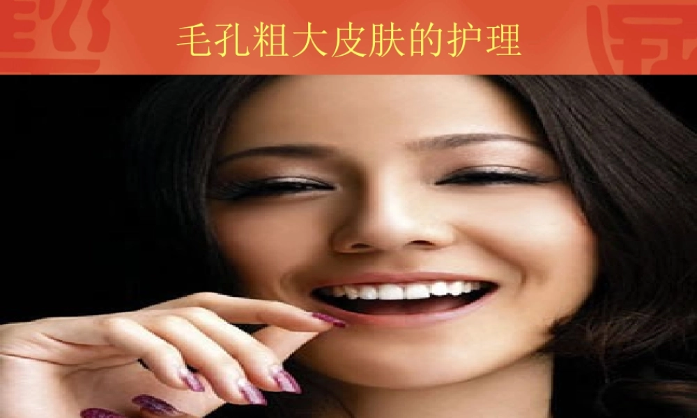毛孔粗大皮肤的养护.ppt