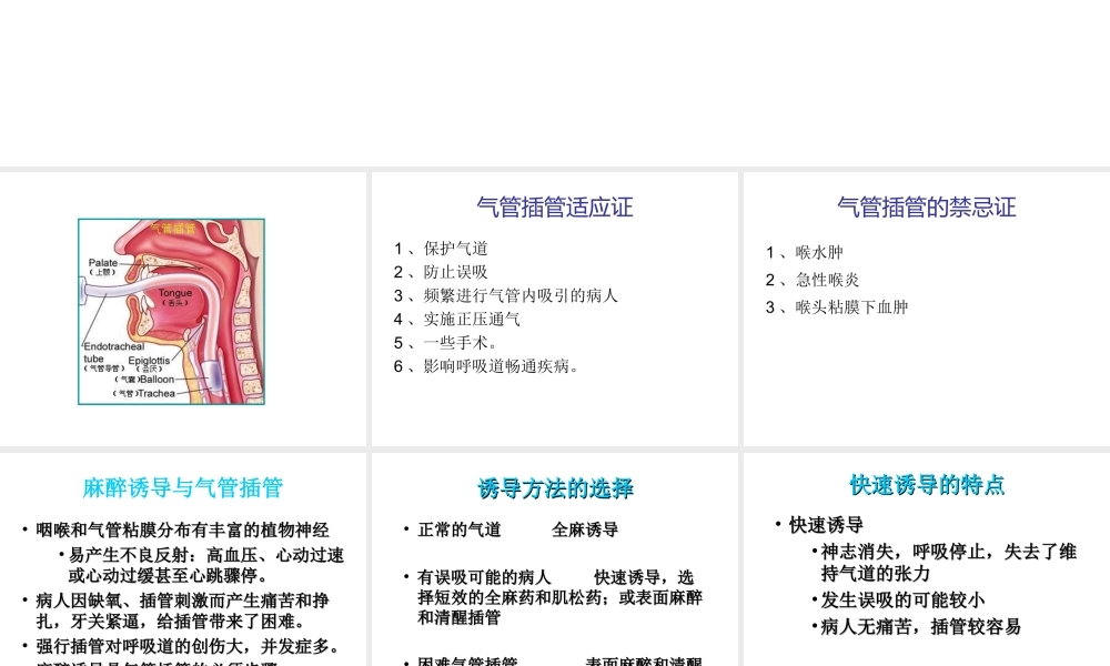 气管插管快速上手必读.ppt