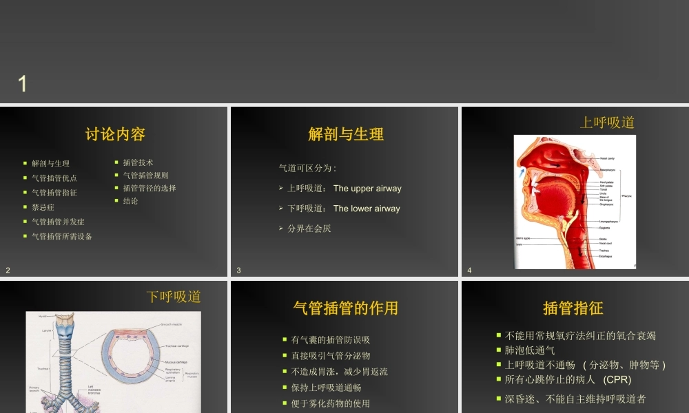 气管插管的作用.ppt