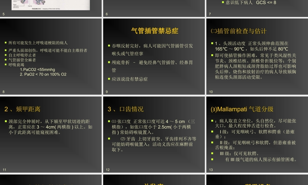 气管插管的作用.ppt