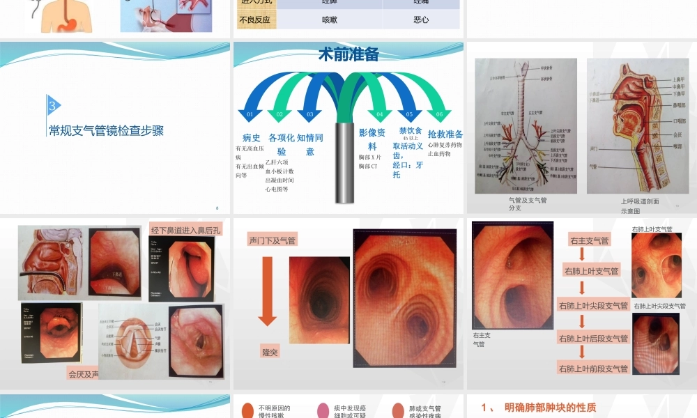 气管镜其实并不可怕-郝万明.pptx