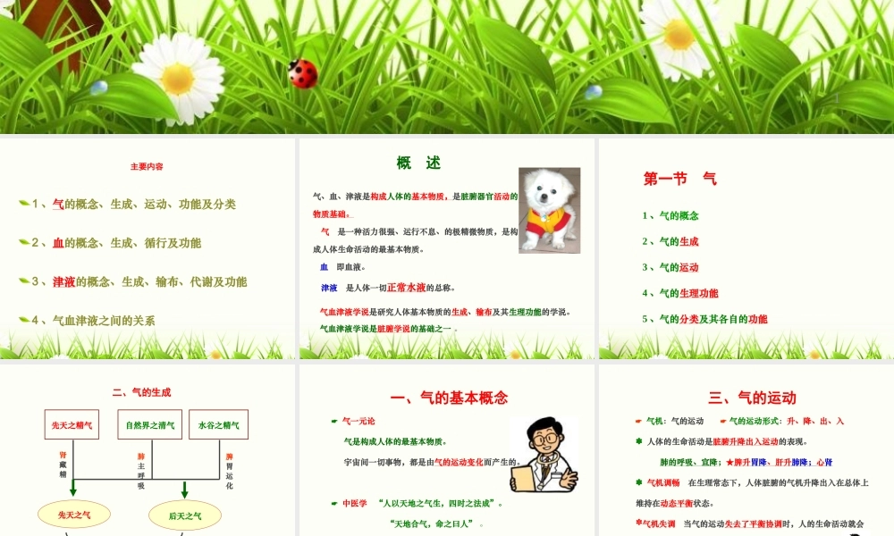 气血津液.ppt