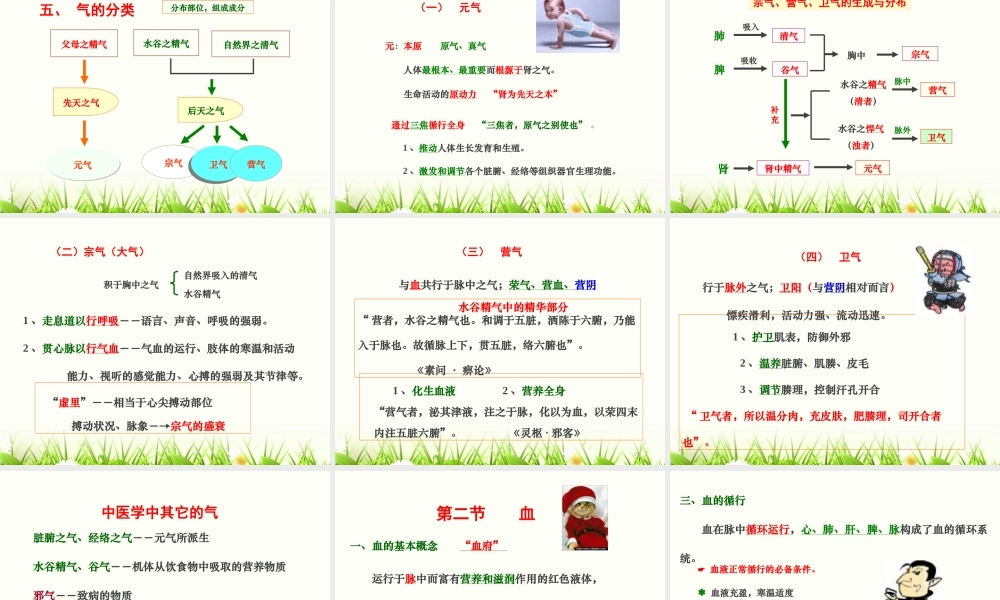 气血津液.ppt
