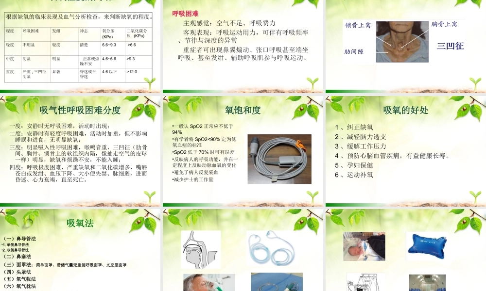 氧气吸入疗法及心脏胸外按压操作并发症的处理.ppt