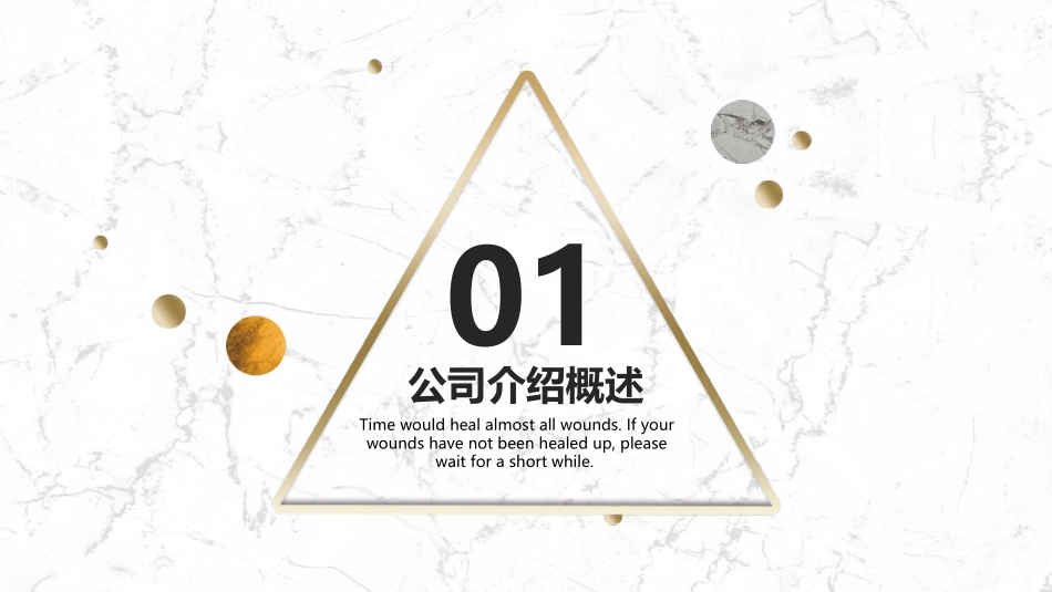 精致黄绿商业计划书.ppt_第3页