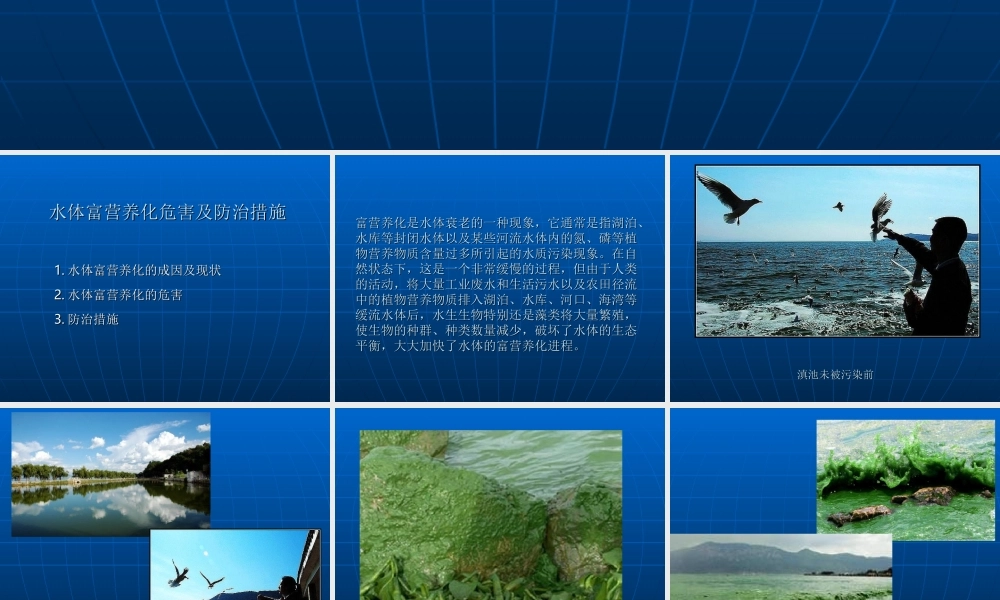 水体富营养化危害及防治措施..ppt