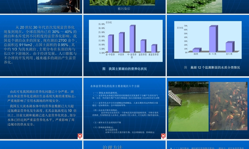 水体富营养化危害及防治措施..ppt