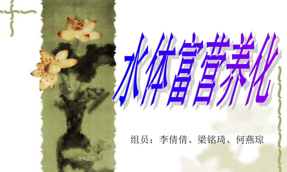 水体富营养化标准.ppt