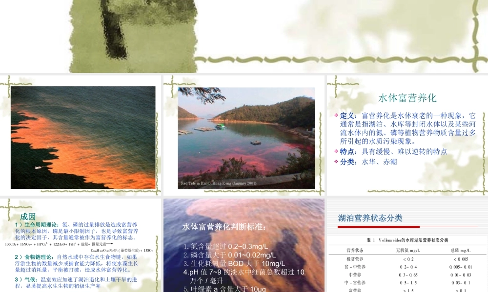 水体富营养化标准.ppt