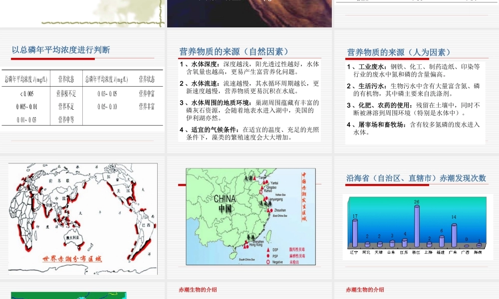 水体富营养化标准.ppt