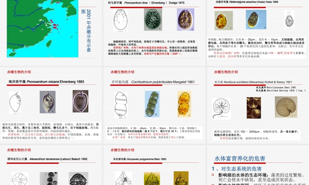 水体富营养化标准.ppt