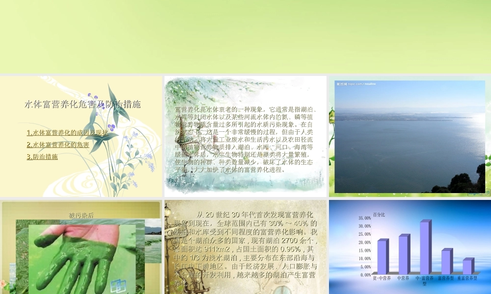 水体富营养化危害及防治措施.ppt