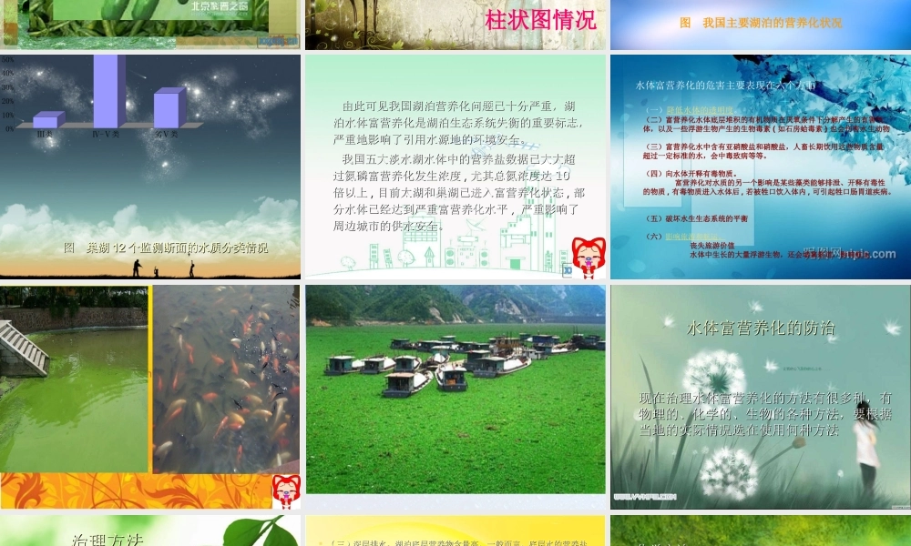 水体富营养化危害及防治措施.ppt