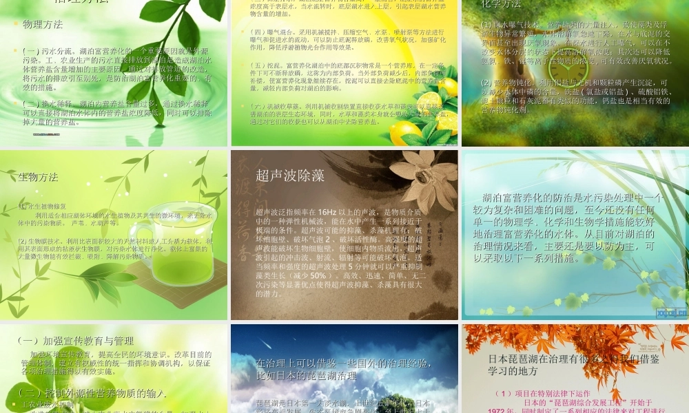 水体富营养化危害及防治措施.ppt