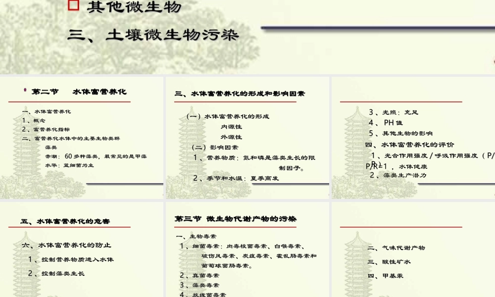 水体富营养化的形成和影响因素.ppt