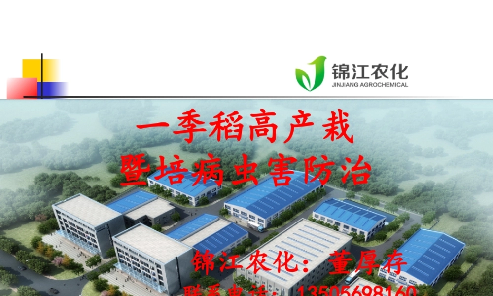 水稻栽培技术及病虫害防治.ppt.ppt