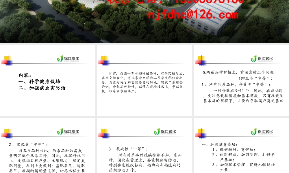 水稻栽培技术及病虫害防治.ppt.ppt