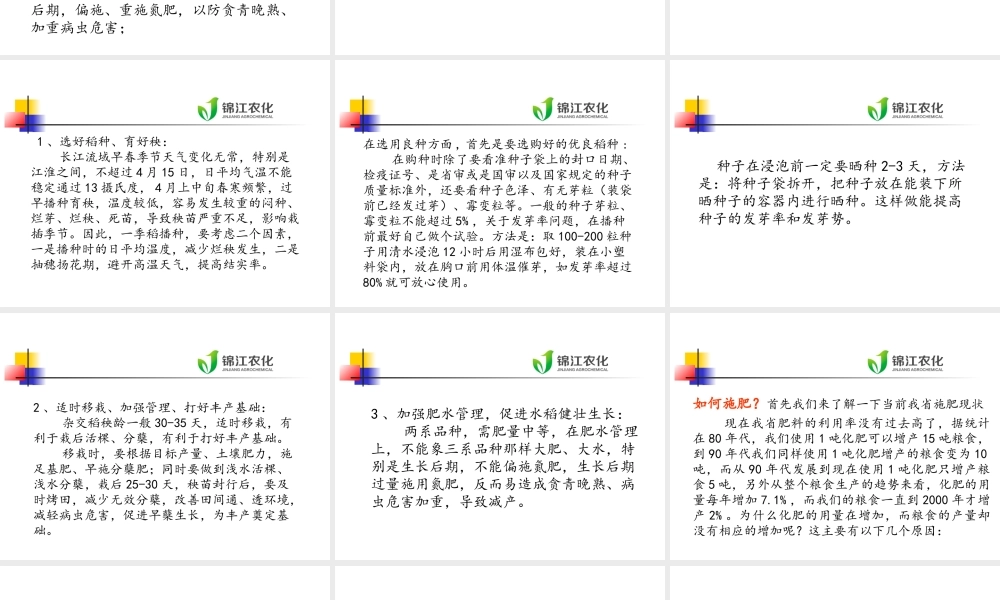 水稻栽培技术及病虫害防治.ppt.ppt