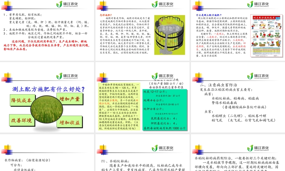 水稻栽培技术及病虫害防治.ppt.ppt