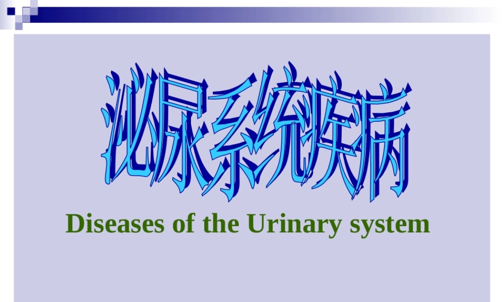 泌尿系统(new2011-5).ppt