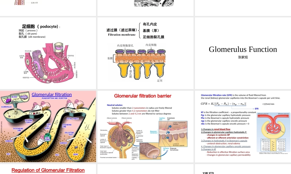 泌尿系统整合PBL.pptx