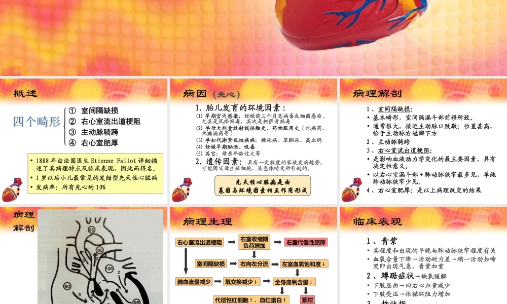 法洛氏四联症(TOF).ppt