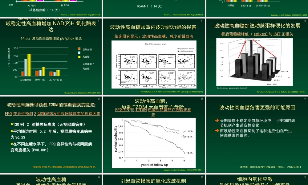 波动性高血糖与糖尿病并发症.ppt