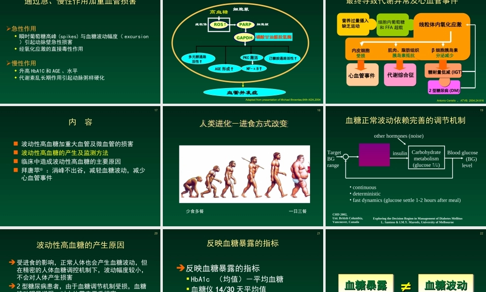 波动性高血糖与糖尿病并发症.ppt