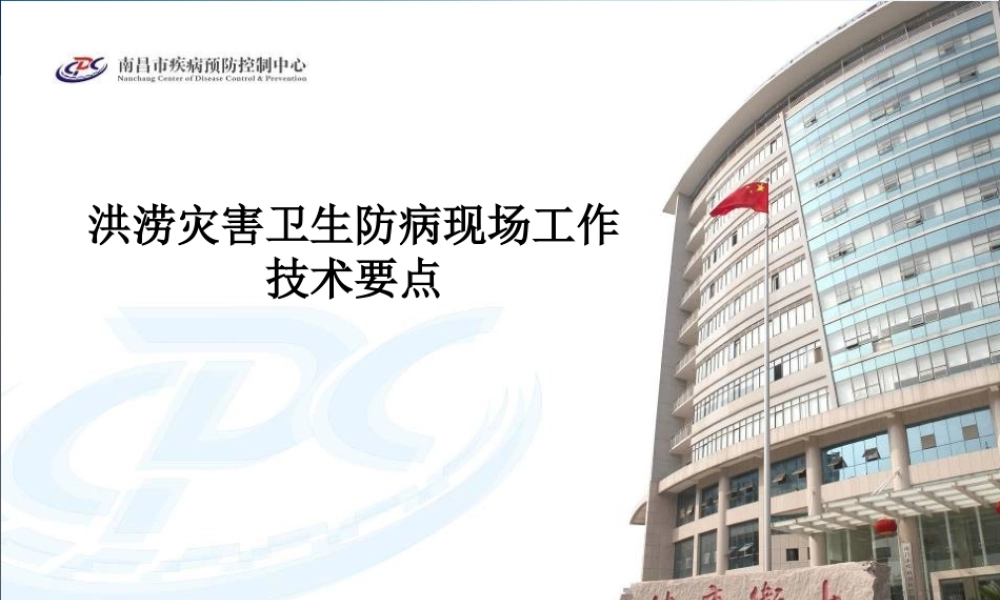 洪涝灾害卫生防病现场工作技术要点.ppt