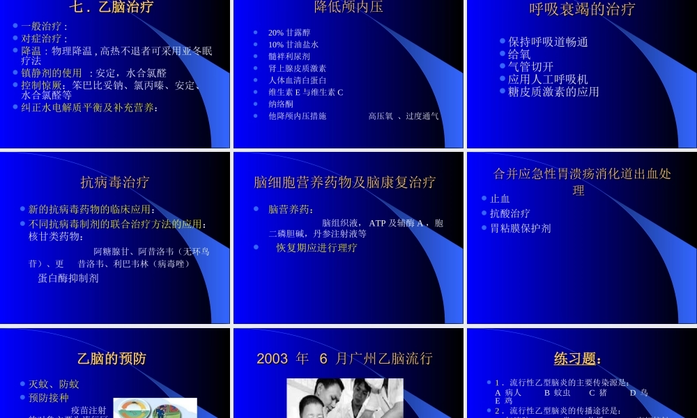 流-行-性-乙-型-脑-炎幻灯片.ppt