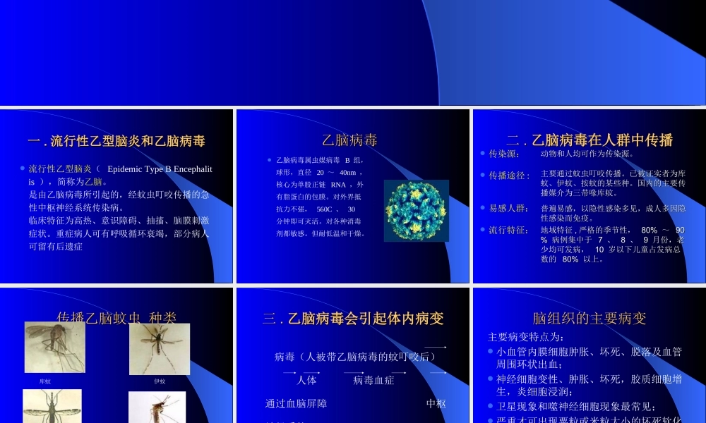 流-行-性-乙-型-脑-炎.ppt