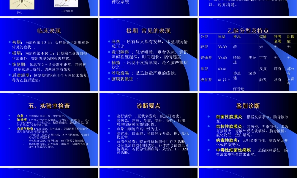 流-行-性-乙-型-脑-炎.ppt